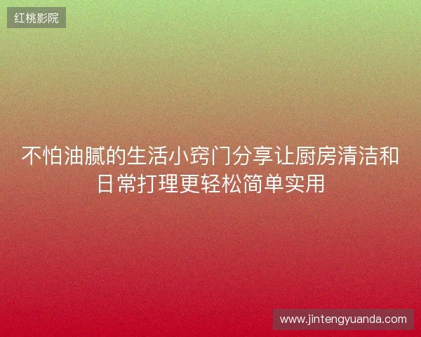 不怕油腻的生活小窍门分享让厨房清洁和日常打理更轻松简单实用